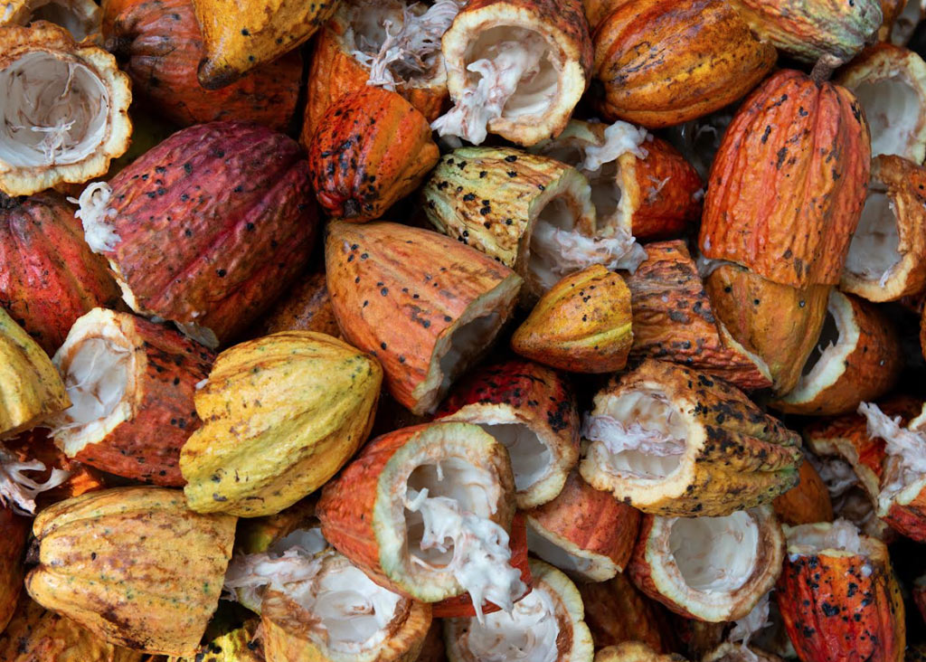 Access to Grievance Mechanisms for Local Communities and Workers in Cocoa